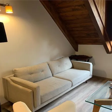 Lejlighed Precioso Atico Con Buhardilla Y Garaje En Pueblo Canfranc