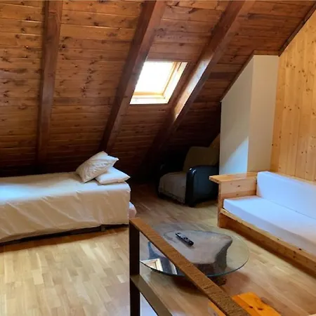 Precioso Atico Con Buhardilla Y Garaje En Pueblo * Canfranc